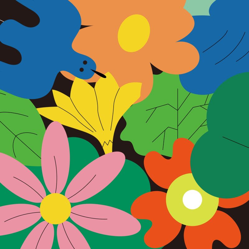 pusima pattern